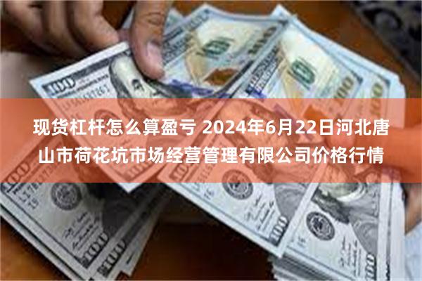 现货杠杆怎么算盈亏 2024年6月22日河北唐山市荷花坑市场经营管理有限公司价格行情