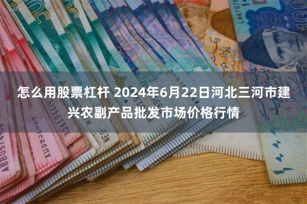 怎么用股票杠杆 2024年6月22日河北三河市建兴农副产品批发市场价格行情