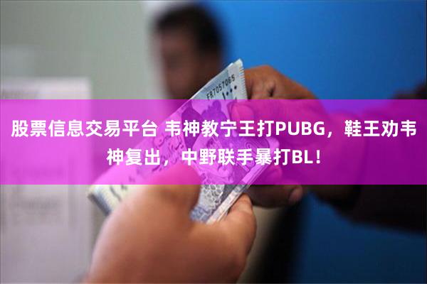 股票信息交易平台 韦神教宁王打PUBG，鞋王劝韦神复出，中野联手暴打BL！