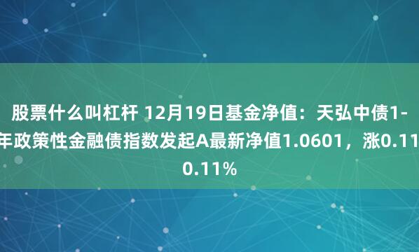 股票什么叫杠杆 12月19日基金净值：天弘中债1-5年政策性金融债指数发起A最新净值1.0601，涨0.11%