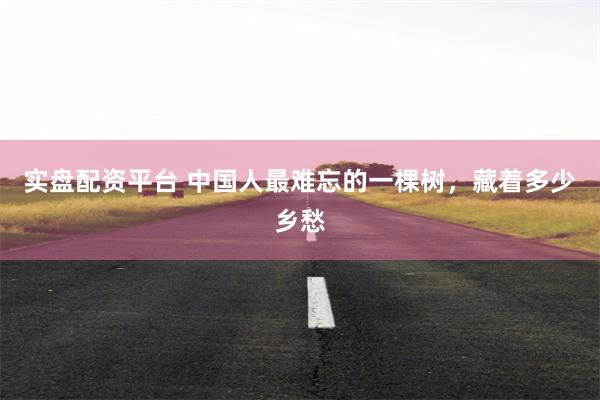 实盘配资平台 中国人最难忘的一棵树，藏着多少乡愁