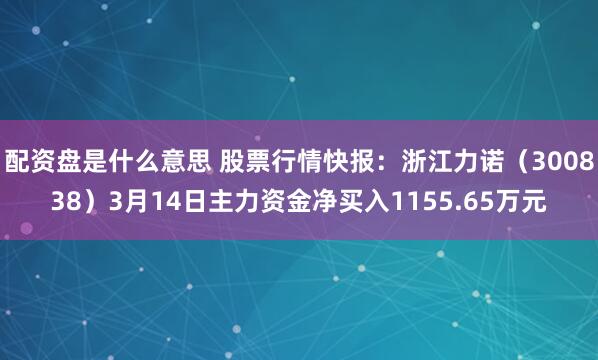 配资盘是什么意思 股票行情快报：浙江力诺（300838）3月14日主力资金净买入1155.65万元